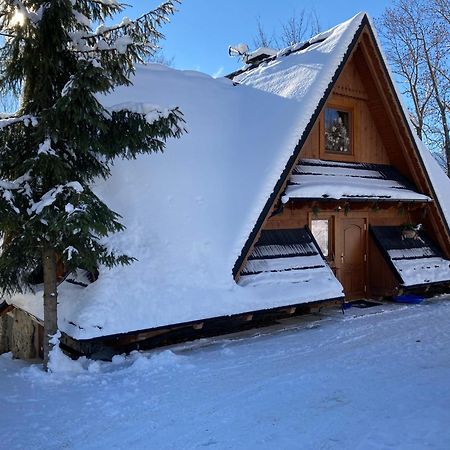 Apartament Casa Mountana Kościelisko Zewnętrze zdjęcie